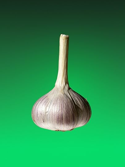A single garlic on a green background