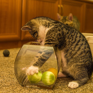 Mine
