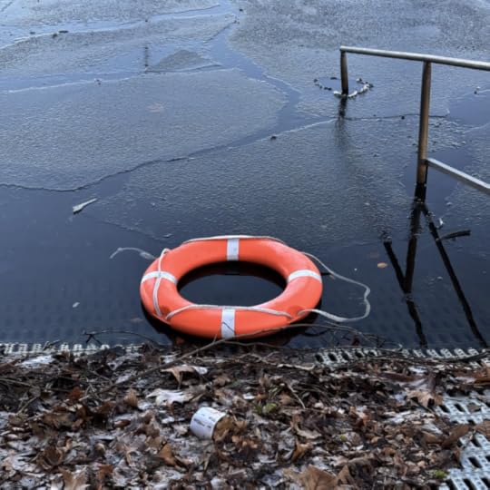 Ein Rettungsring auf dünnem Eis auf der Alster, nah an einem Steg , im Vordergrund welkes Laub