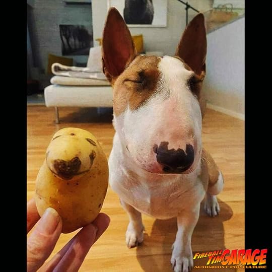 tater Dog Fireball Tim Garage Automotive Pop Culture Cars
