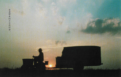 Richard Farnsworth in The Straight Story (1999)