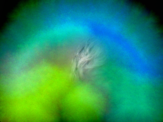 Your Surprising Update on Empath Empowerment® Books. Let's lead off with an aura photo of Rose, right before doing a Skilled Empath Merge. At the bottom of this article you'll see an aura photograph taken minutes later. When she was doing a Skilled Empath Merge with a small piece of malachite.
