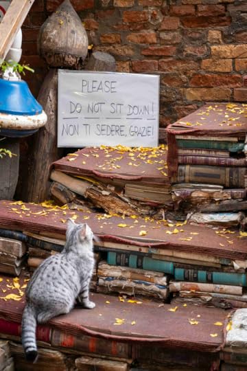 Libreria Acqua Alta, Venice, Italy