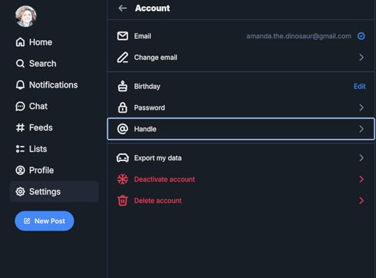 Where to find settings for your handle on Bluesky.