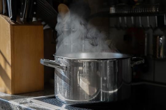 Large stainless steel pot on burner, steaming coming out, wiht full knife block beside it.