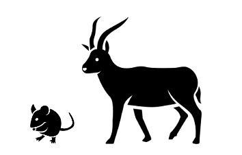 Field Mice and Antelope Story