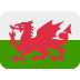 🏴