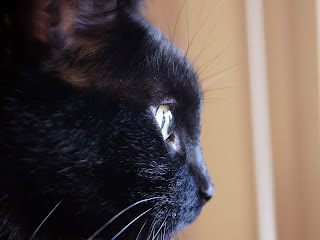 Panzer says, Be sure and check the date.