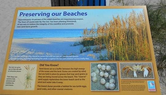 Lauderdale by the Sea Beach -The beach here is stunning and well-maintained 