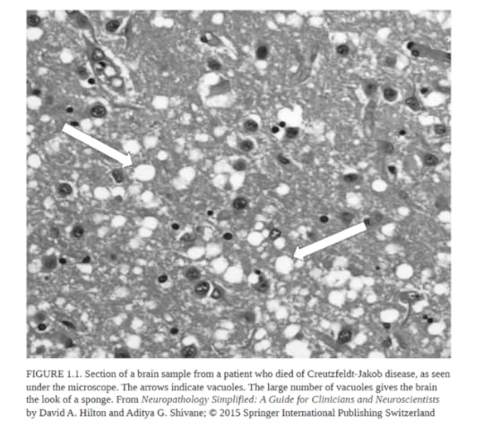 Screenshot-2025-01-30-153906