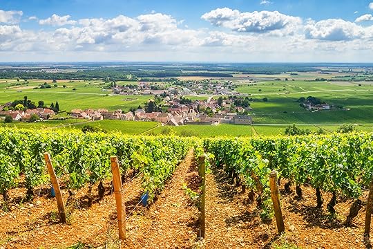 Small Towns in France You'll Want to Visit if You're a Wine Lover
