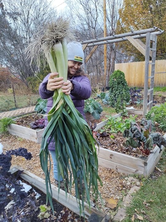 Happy gardener holding just harvested, massive King Richard Leeks