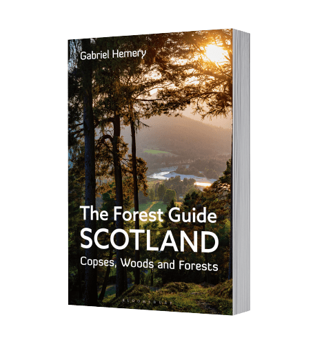 The Forest Guide Scotland