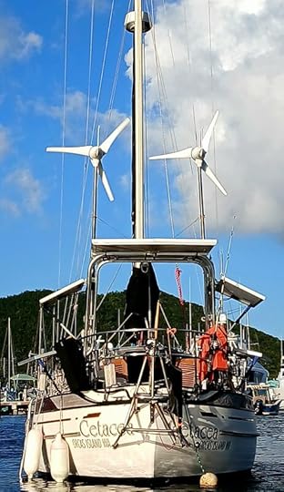 S/VSN-E Cetacea from abaft