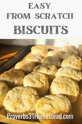Easy, From Scratch Biscuit Recipe