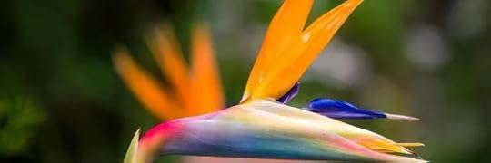 Recensione di Amici come prima di Emma Noyes