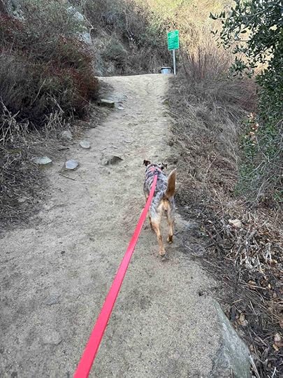 climbing up the way up trail