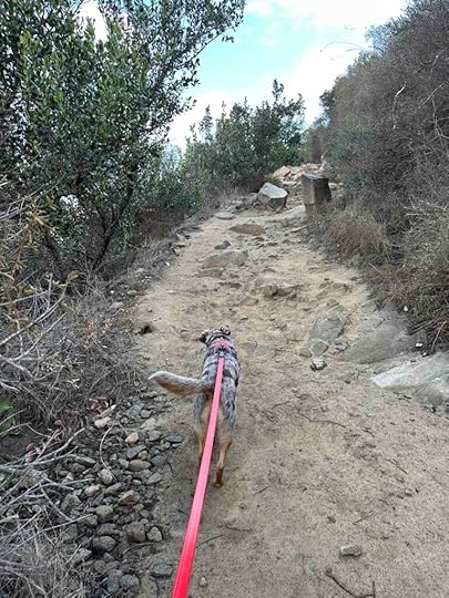 start of hike at Elfin Forest Recreational Reserve