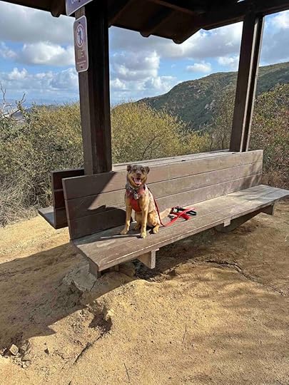 Harmony Grove Overlook