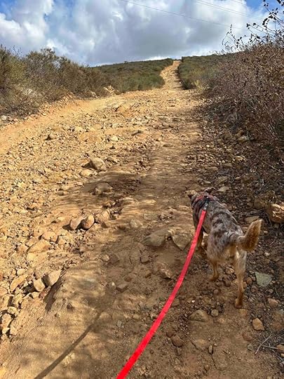 more uphill climbing