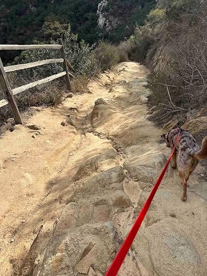 the way back down at Elfin Forest Recreational Reserve