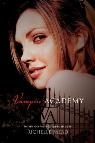Vampire Academy Book 1 Review