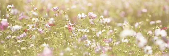 Recensione di Paesaggio per amare di Helen Wolff