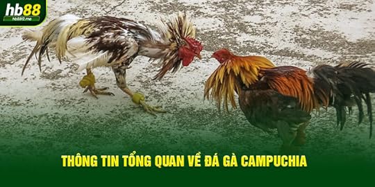 Thông tin tổng quan về siêu phẩm đá gà Campuchia
