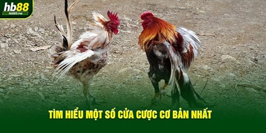 Tìm hiểu một số cửa cược cơ bản nhất