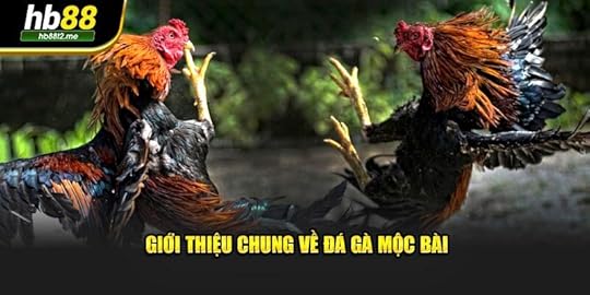 Giới thiệu chung về đá gà Mộc Bài