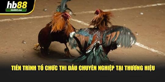 Tiến trình tổ chức thi đấu chuyên nghiệp tại thương hiệu