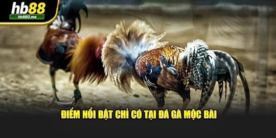 Điểm nổi bật chỉ có tại đá gà Mộc Bài