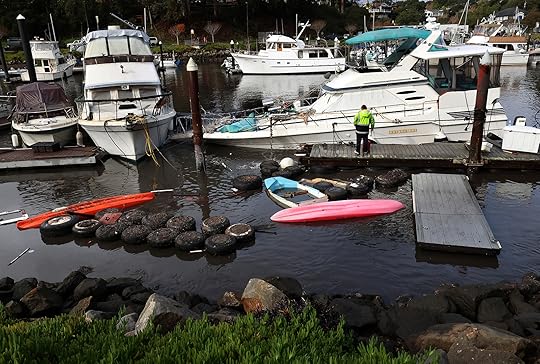 Debris floats in a Santa Cruz Harbor channel on Tuesday...