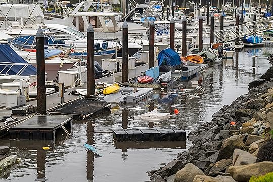 Trash and damaged boat parts float through Santa Cruz Harbor...