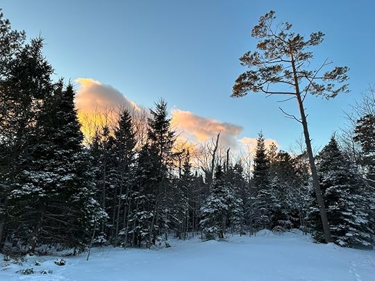 Snow, trees, clouds at Point Pleasant Park
