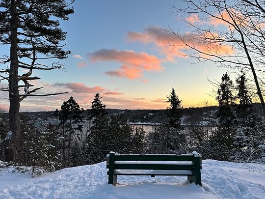 Trees, sunset, bench overlooking the Northwest Arm