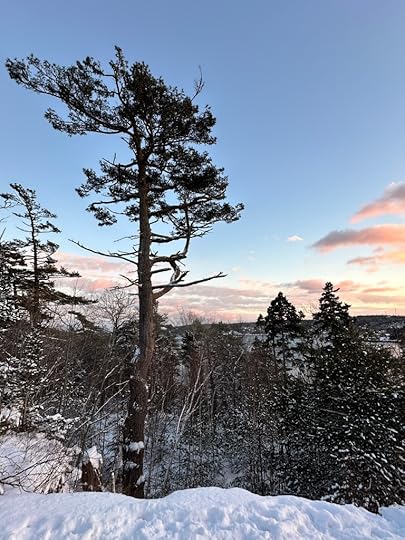 Tree, snow, blue sky, clouds