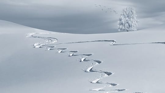 Curving trail through fresh snow