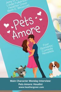 Main Character Monday interview with Houdini from Pets Amore