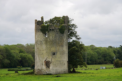 Photograph of a ruined tower in a field; vegetation and trees growing on its top and to the side.