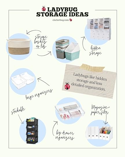 Ladybug storage ideas