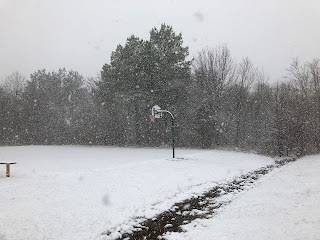 Image of a lone basketball hoop in a snowstorm, with trees in the background