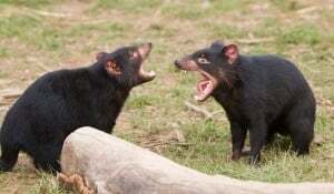 Are you having the wrong argument? The value of focus