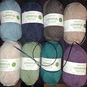 array of eight balls of wool in different colours, with circular needle