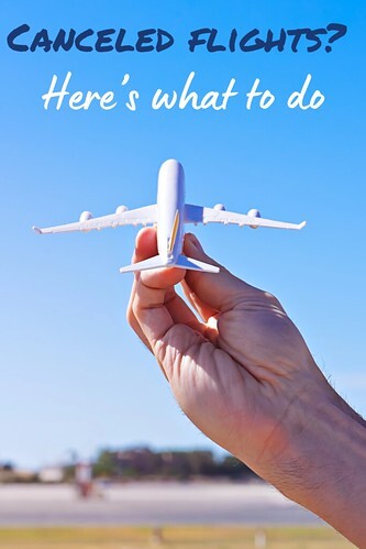 Canceled flights? Here’s what to do