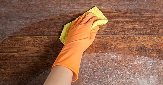 Regular Dusting and Cleaning