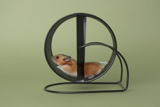 A hamster running on a modernistic black hamster wheel set against a pea-green background
