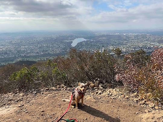 Cowles Mountain peak