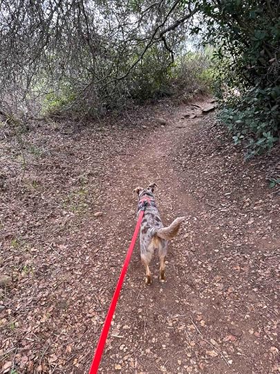 start of the hike to Cowles Mountain