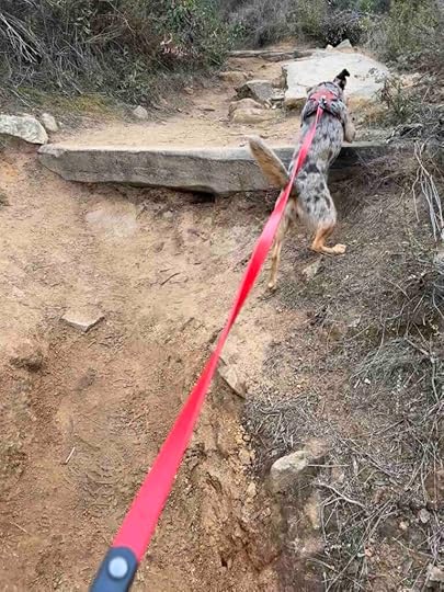 climbing up the Mesa trailhead to Cowles Mountain